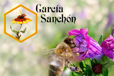 Salud. Miel y Polen Los productos que derivan de las abejas son conocidos por su alto nivel de contenido nutritivo y son usados para prevenir enfermedades.